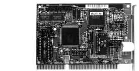 ������� �����